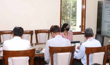 ग्रीन एग्रीकल्चर प्रोजेक्ट की ग्रामवाइज कार्य योजना तैयार कर  समयबद्धता से क्रियान्वित करें  - मुख्य सचिव