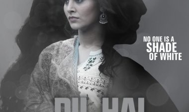 क्राइम थ्रिलर फिल्म 'दिल है ग्रे' जुलाई में होगी रिलीज़