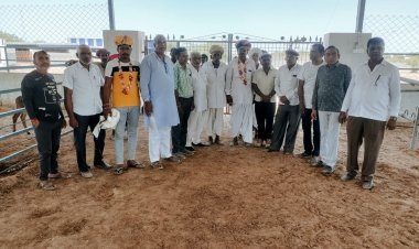 धानसा : गौ शाला को भुमि दान देने पर भामाशाह परिवार का हुआ भव्य स्वागत