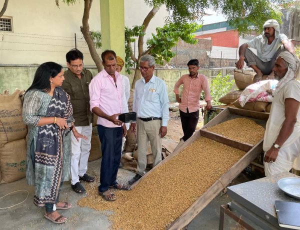 प्रबन्ध निदेशक राजफैड ने एमएसपी के चौमूं खरीद केन्द्र का निरीक्षण किया