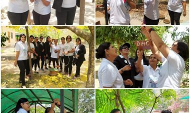 ड्रीम अचीवर्स क्लब टीम ने 100 से भी ज्यादा लगाए परिंडे 