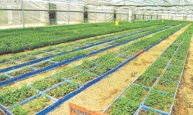 मुख्यमंत्री ने दी मंजूरी देवली (उनियारा) में खुलेगा कृषि उत्कृष्टता केन्द्र