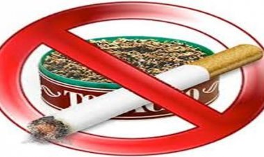 भारत सरकार ने की राजस्थान के तम्बाकू नियंत्रण मॉडल की सराहना