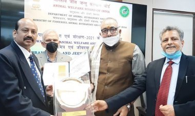 जीव जन्तुओं का कल्याण सर्वोपरि - अध्यक्ष, जीव जन्तु कल्याण बोर्ड