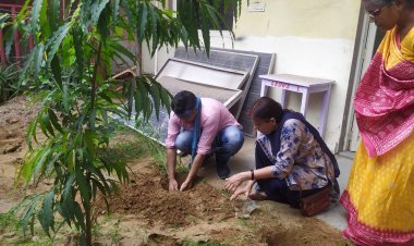 संस्थाओं ने पौधरोपण कर दिया पर्यावरण संरक्षण का संदेश