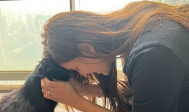 चाहत खन्ना ने आवारा बिल्ली की मदद के किए बढ़ाए हाथ