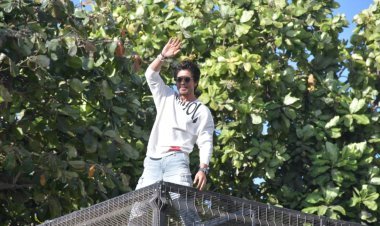 फ़िल्म चिड़ियाखाना के हाथ लगी कामयाबी