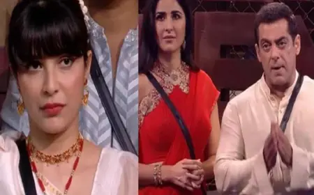 बिग बॉस शो में खानजादी पर सलमान खान का गुस्सा, वीडियो वायरल