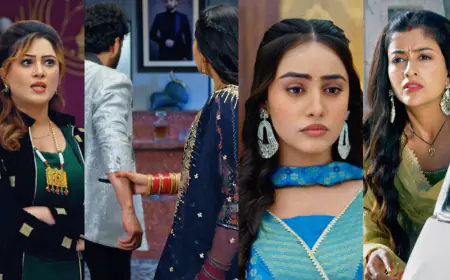 कल्याणी की चौंकाने वाली घोषणा: परिवार की मौजूदगी में होगी कबीर और सहज की शादी