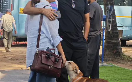 निर्माता पल्लवी जोशी ने 'द दिल्ली फाइल्स' के सेट पर 50 स्ट्रे डॉग को दिया आश्रय