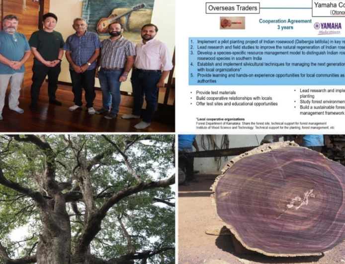 Yamaha ने Overseas Traders के साथ मिलकर भारतीय रोज़वुड के टिकाऊ वन संरक्षण को बढ़ावा दिया