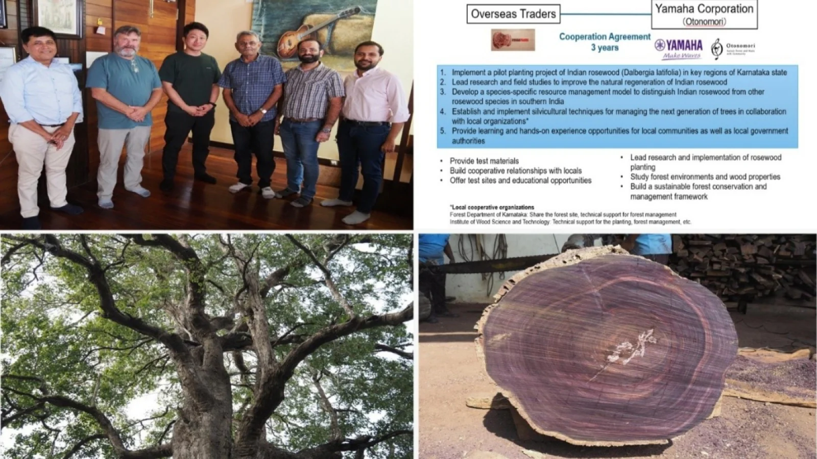 Yamaha ने Overseas Traders के साथ मिलकर भारतीय रोज़वुड के टिकाऊ वन संरक्षण को बढ़ावा दिया